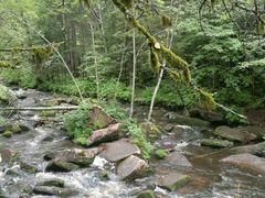 -汤旺河林海奇石景区