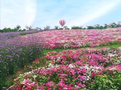 -歌斐颂巧克力小镇