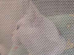 -半岛宠物医院24小时(西派城店)