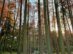 -上海月湖雕塑公园