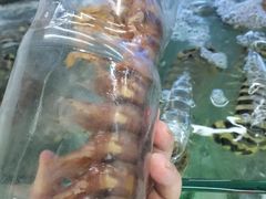 -钱塘府海鲜餐厅