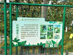 -树山生态村