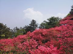 -木兰云雾山