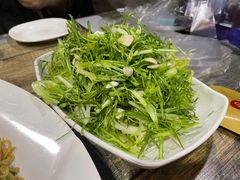 凉拌苦菊-郑享吃烧烤烩面(红专路店)