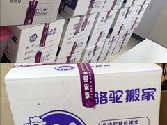 -骆驼日式搬家收纳整理