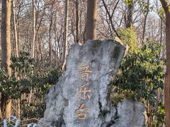 -音乐台