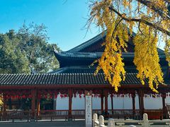 -上海东林寺(金山区)