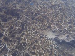-蓝湾海滩