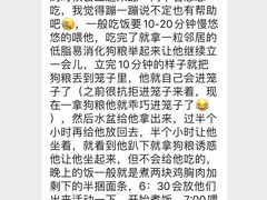 -艾贝尔宠物诊疗