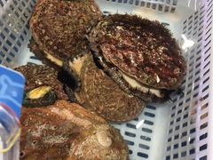 -盒马鲜生(财富中心店)