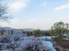 -北京西山国家森林公园