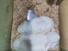 -上海大自然野生昆虫馆