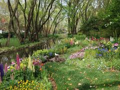 -上海共青森林公园