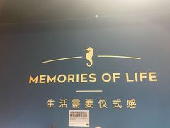 -海马体照相馆(上海晶耀前滩店)