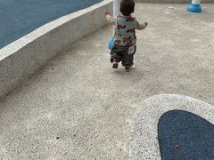 -宁波儿童公园(鄞州区)