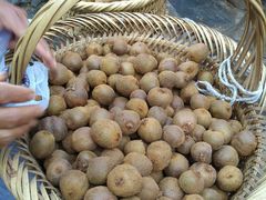 -西江苗族博物馆