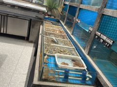 -码头鲜精致威海菜(欧乐坊店)