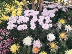 -汇龙潭