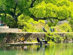 -四明山国家森林公园