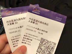 -中影国际影城(大唐西市4K临境音店)