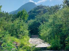 -阳台山自然风景区