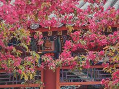 -北京明城墙遗址公园