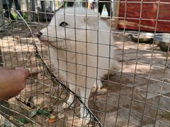 -武汉紫薇都市田园