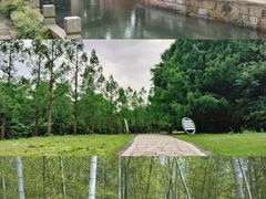 -同里国家湿地公园