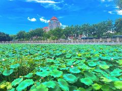 -南普陀素菜馆