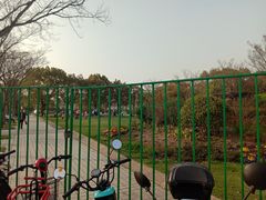 -新江湾城公园