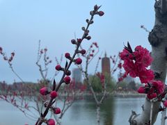 -西海子公园