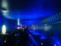 -白鹤梁水下博物馆