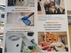 -COLOR PETS 撸猫馆·购猫·猫咖(长风大悦城店)