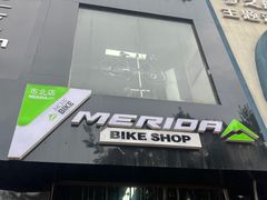 -道路口单车爱瓦士dahon大行