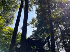 -都江堰普照寺