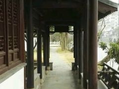 -盆景园(扬州大运河文化旅游度假区)
