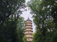 -灵谷景区