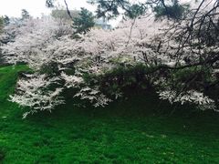 -名古屋城