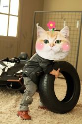 点击看大图 -Baby Pastel 自然光儿童摄影(CBD店)