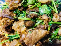 孜然羊肉-十二毡房蒙餐·蒙古包