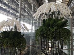 -曼谷素万那普国际机场