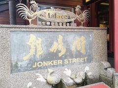 -马六甲鸡场街