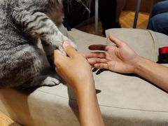 -啵啵喵·猫咖(攀华国际店)