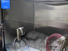 -谐和贝康宠物医院24小时·宠保定点(急重症转诊中心)