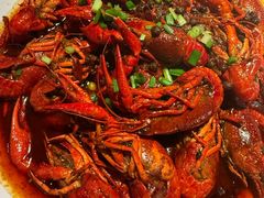 -京B·东篱精酿啤酒音乐餐厅