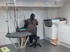 -艾贝尔宠物医院 ·中兽医·宠保定点(北门桥店)