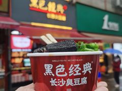 -黑色经典臭豆腐·湖南特产(潇湘文化店)