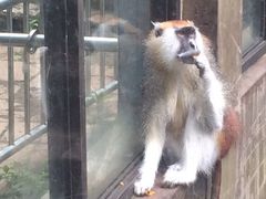 -昆明动物园