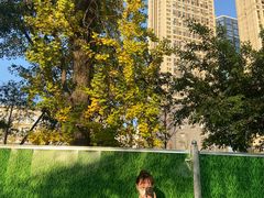 -成都市活水公园