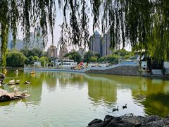 -团结湖公园